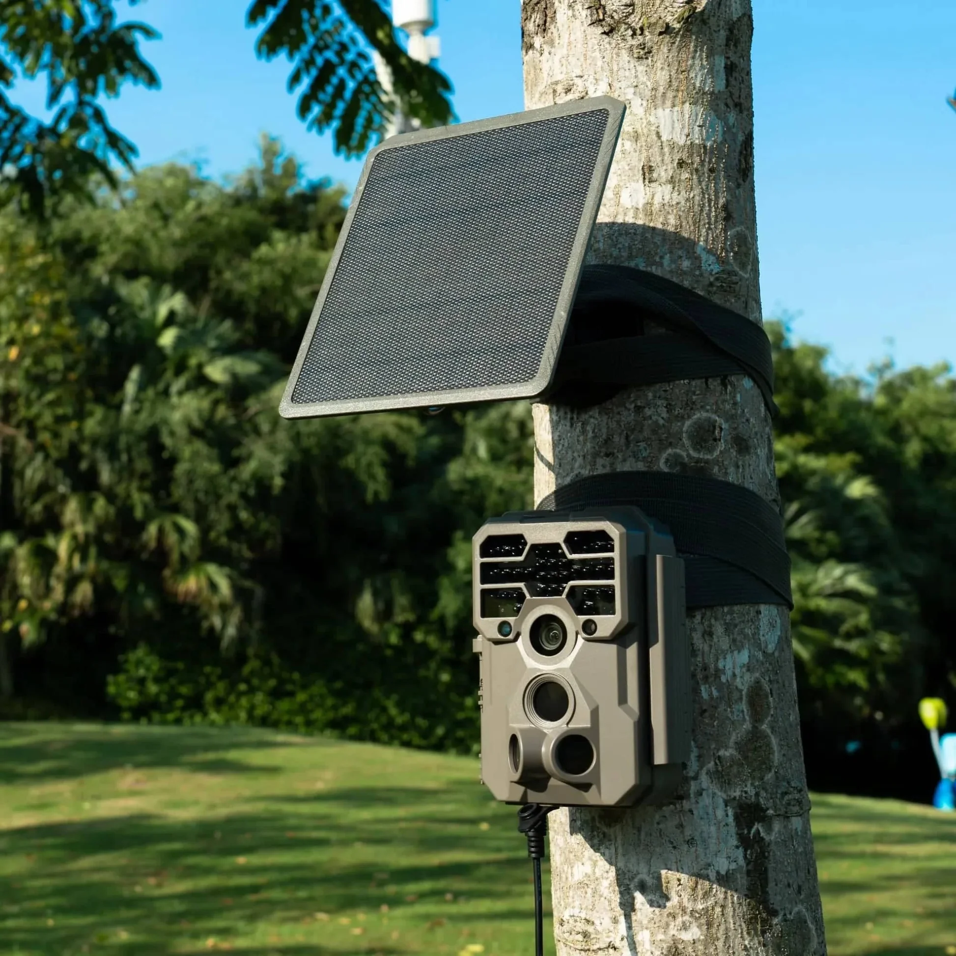 The Ultimate Guide to Solar Power Trail Cameras | TheBlogTable 1 sunapex solar powered trail camera Featured Image